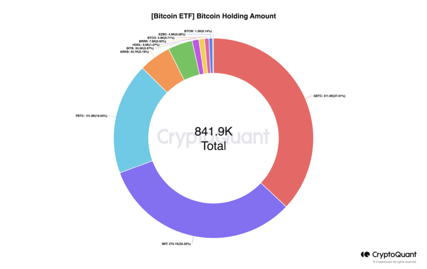 Bitcoin ETF Holding Amount