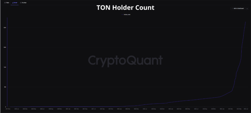 TON holder count